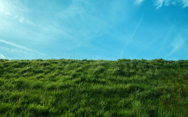 OPENBAAR GROEN EN HET PERFECTE GRAS